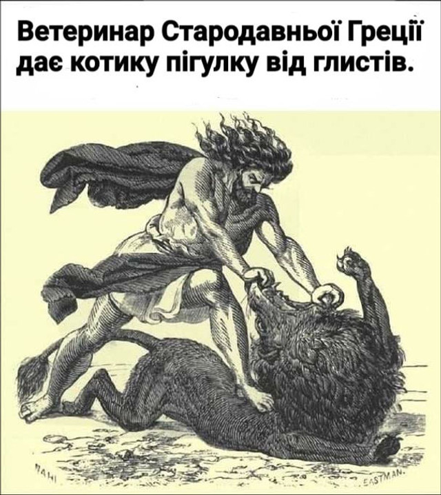 Всесвітній день ветеринара – підбірка найкращих мемів - фото 555161