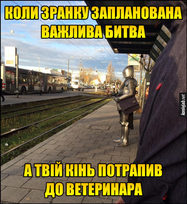 Всесвітній день ветеринара – підбірка найкращих мемів - фото 555166