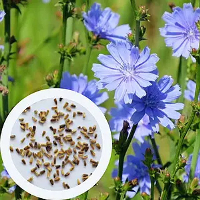 День матері 11 травня – підбірка найкращих подарунків від сина- фото 555782