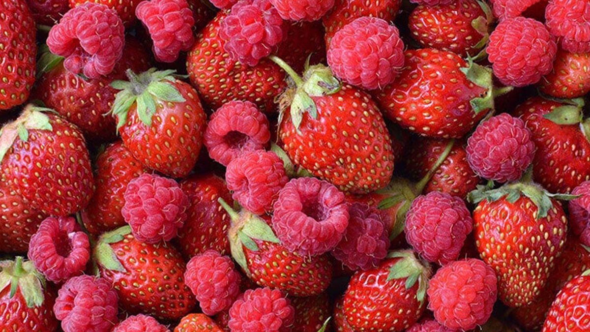 Що корисніше малина чи полуниця - фото 1