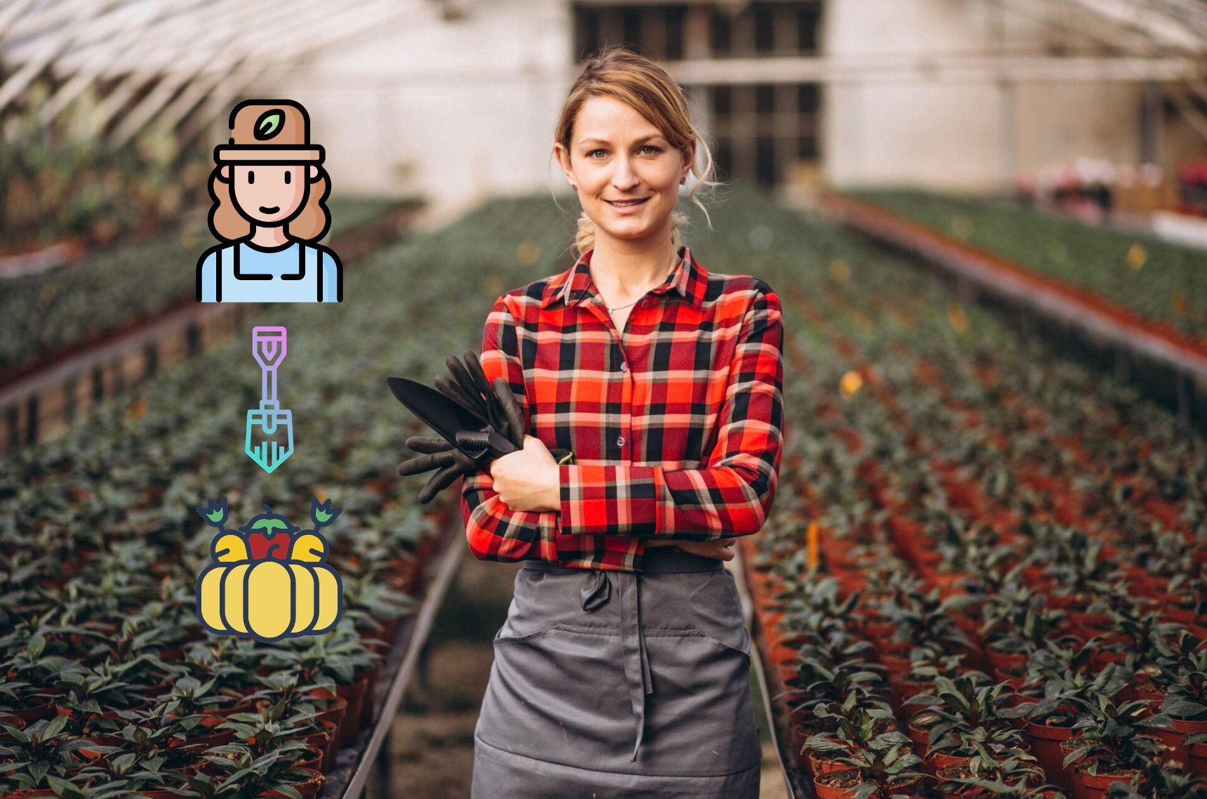 Місячний посівний календар на червень 2025 – коли і що садити