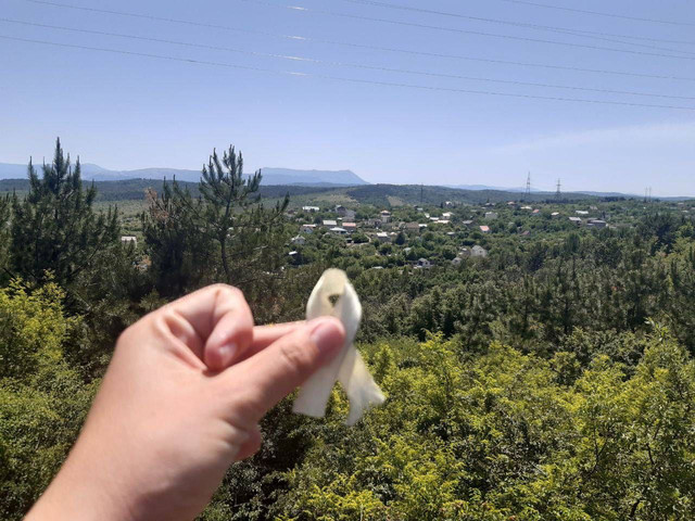 'Українці тут не зламались': у Криму зворушливо звернулися до материкової України - фото 557923