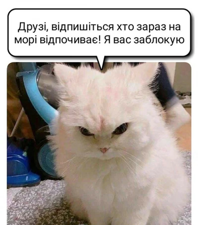 Міжнародний день друзів 9 червня: прикольні меми про друзів - фото 557959