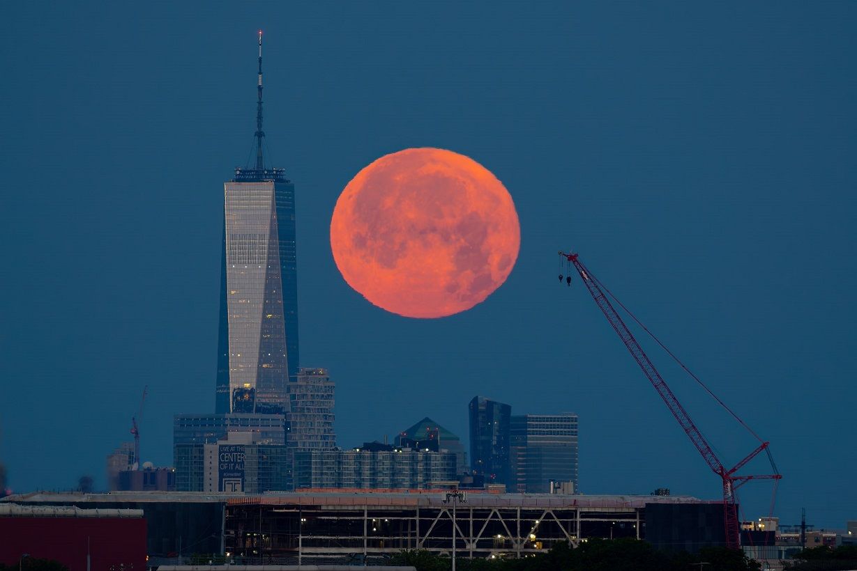 Полуничний Місяць 2025: коли явище можна буде спостерігати в Україні