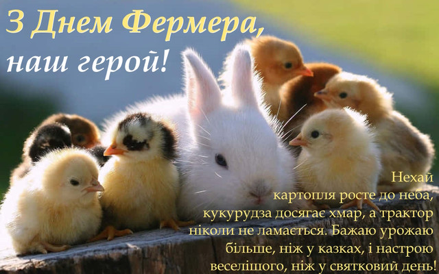 З Днем фермера 2025: найкращі привітання для фермерів до 19 червня - фото 558350