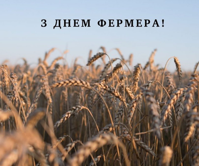 З Днем фермера 2025: найкращі привітання для фермерів до 19 червня - фото 558355