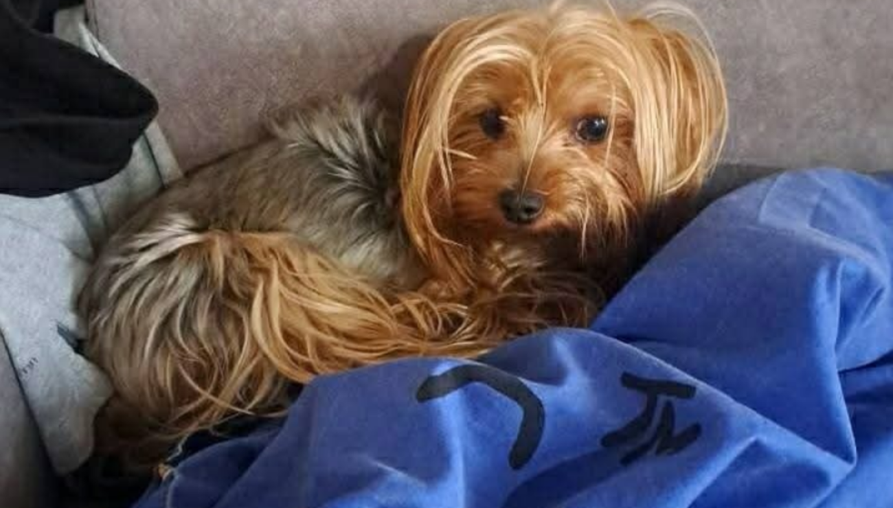 Малюка наразі розшукують - фото 1