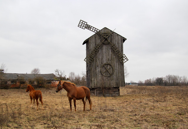 Новий тревел-тренд: загадкове й покинуте село під Києвом віруситься у мережі - фото 558454
