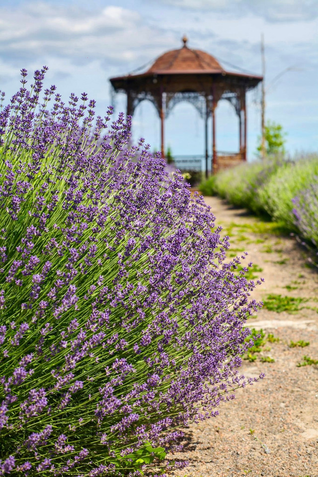 На відвідувачів чекає багато активностей - фото 558676