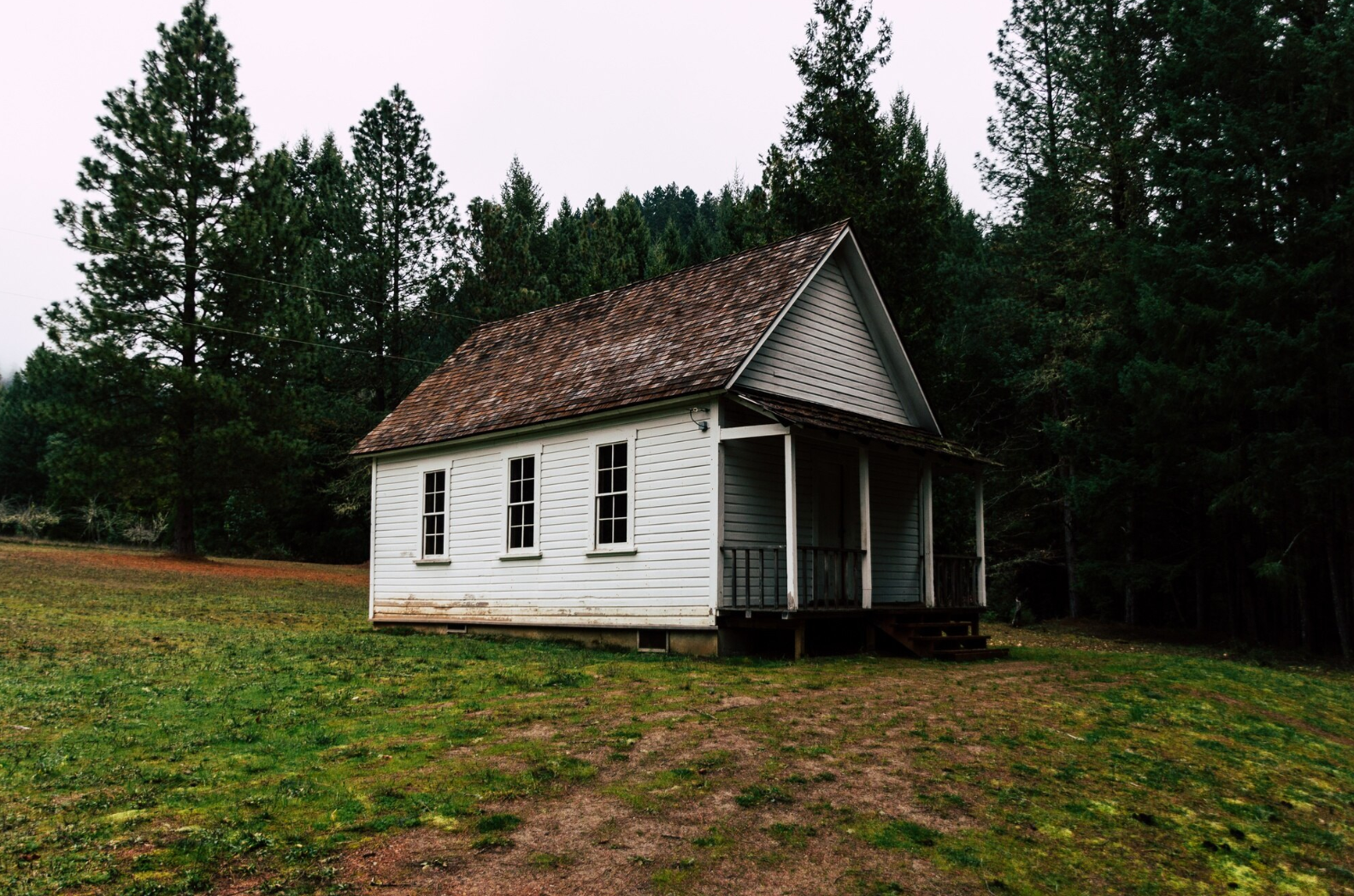 Ці дерева не варто садити біля дому - фото 1