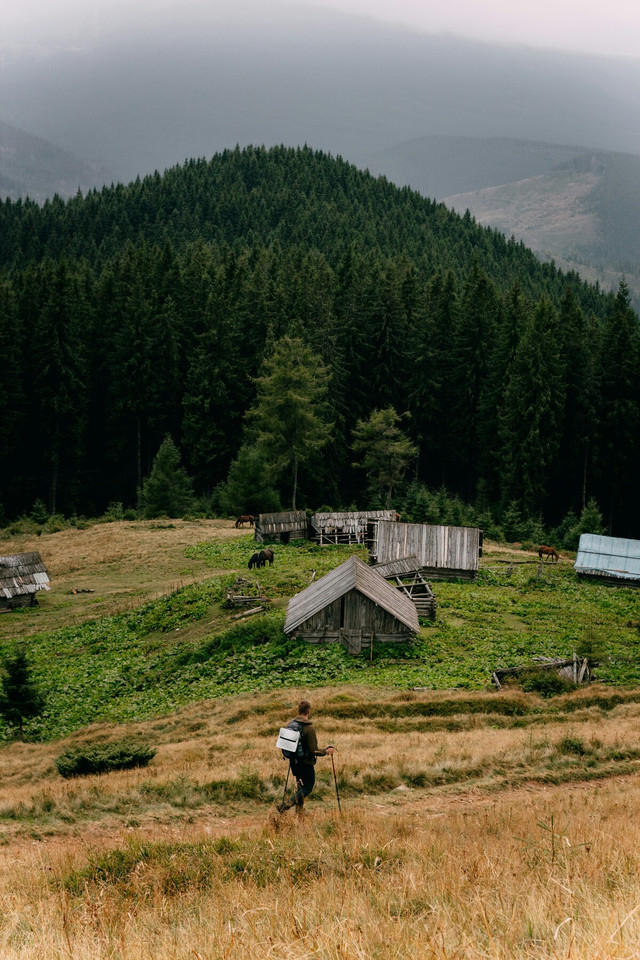 Карпати – величні і прекрасні - фото 558825