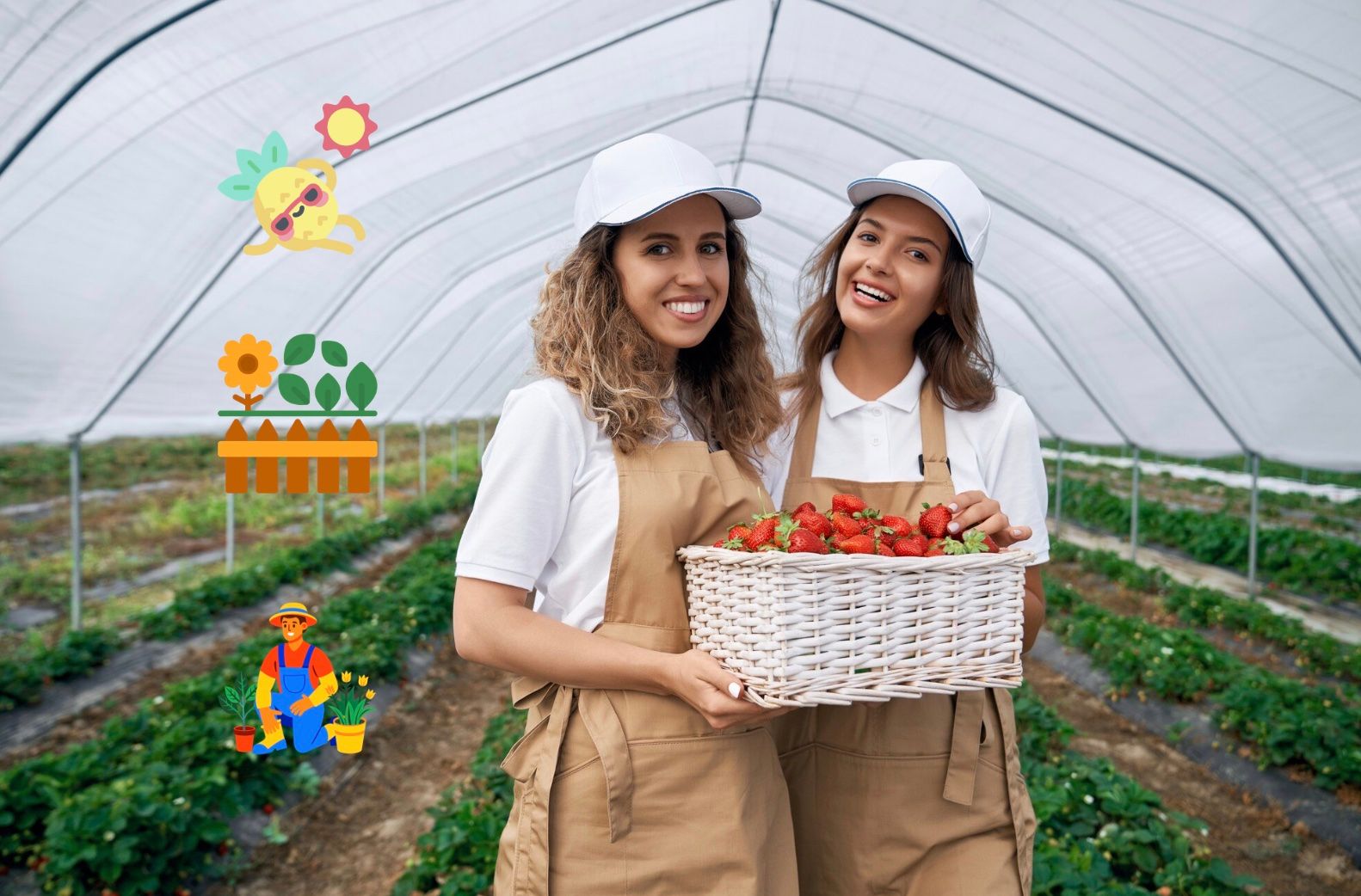 Місячний посівний календар на липень 2025 – коли і що садити