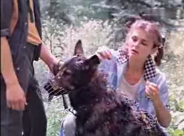 Кадр до фільму 'Кожен мисливець бажає знати…' - фото 559082