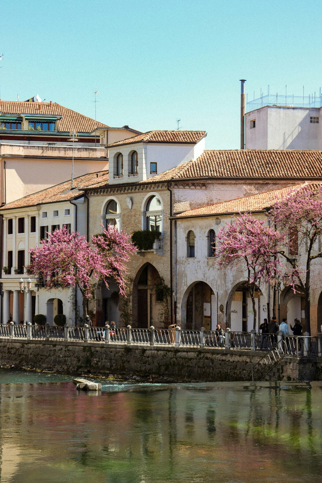 У Тревізо відчувається особлива атмосфера - фото 559197