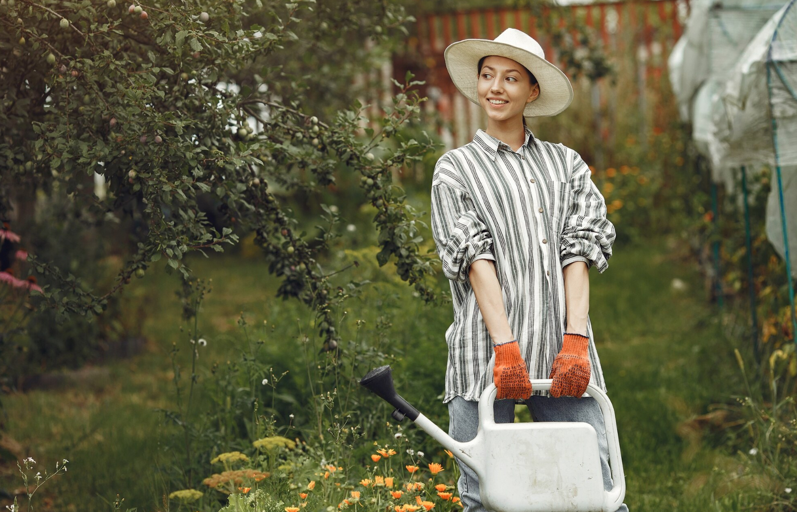 Ці культури варто посадити у липні для врожаю восени - фото 1