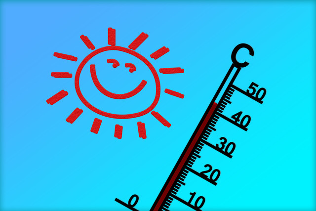 Як пережити спеку: поради дієтологів щодо харчування - фото 559613