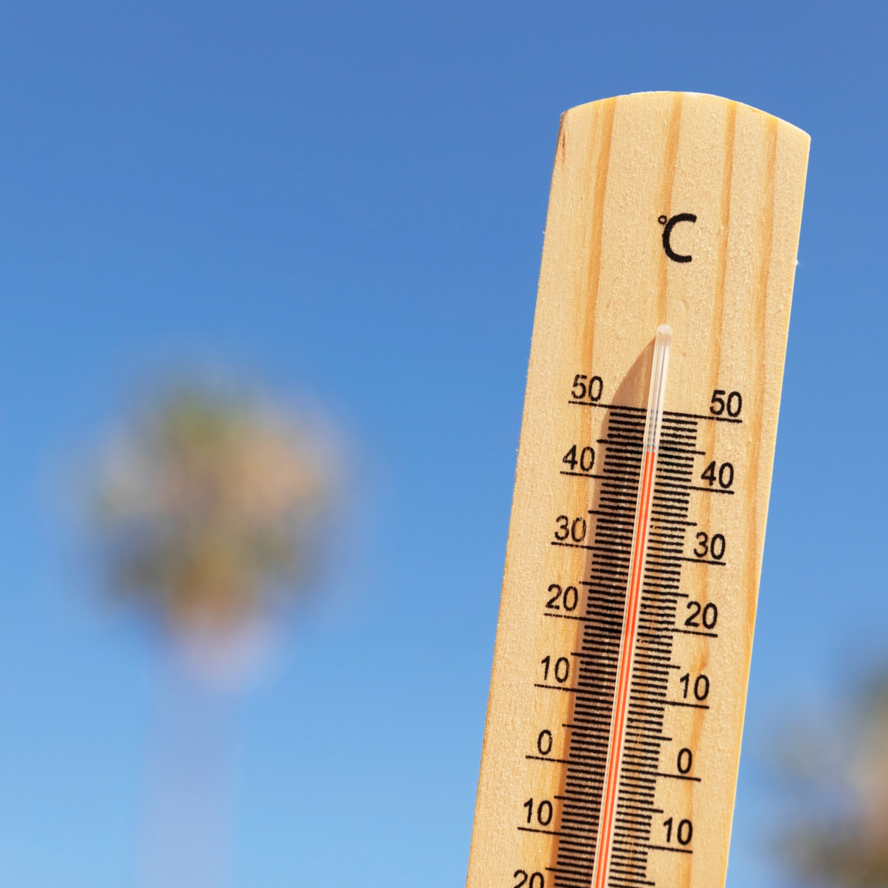 Спека в Україні - фото 1