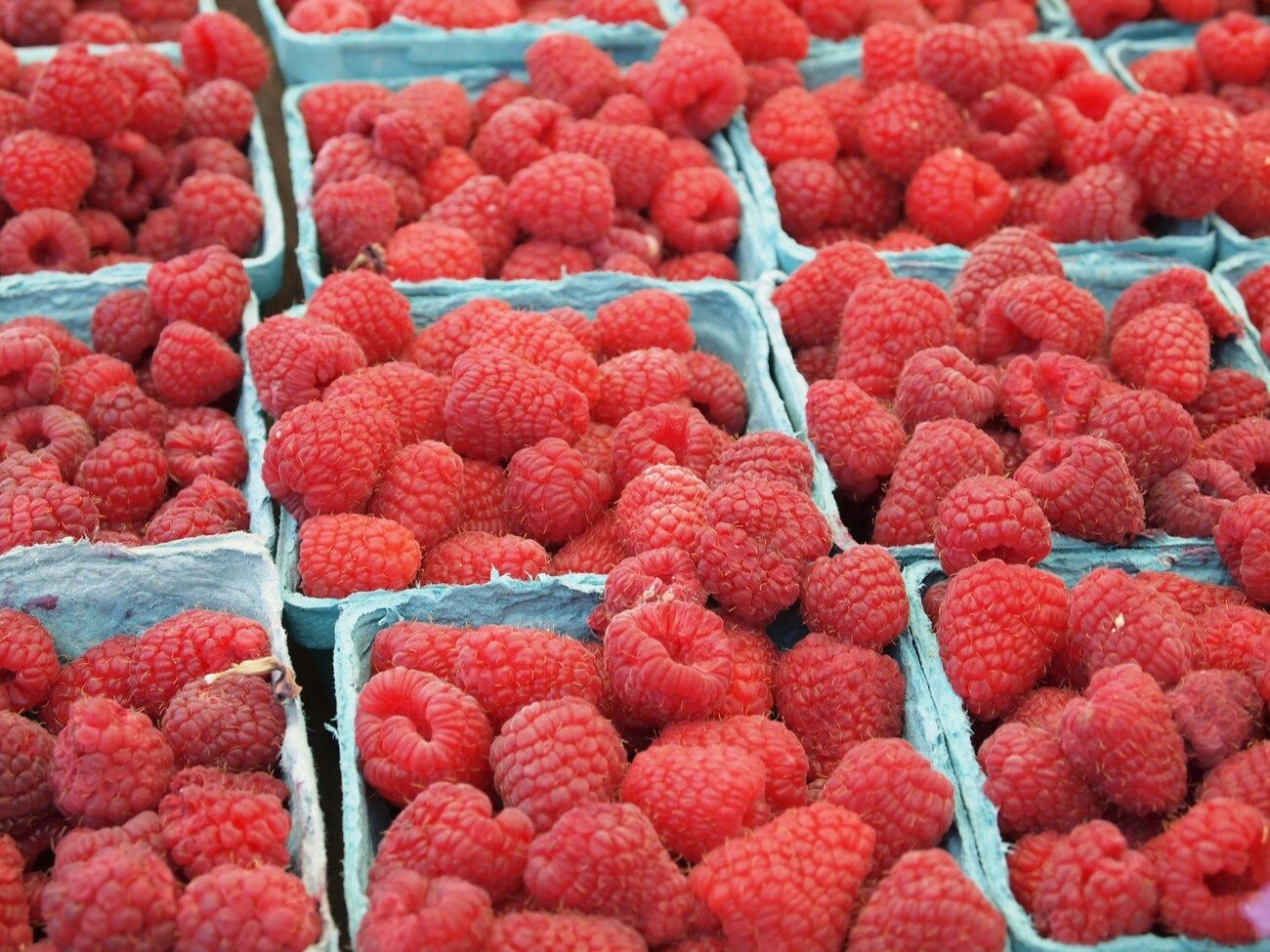 Компоти з малиною – ідеальний рецепт на зиму - фото 1