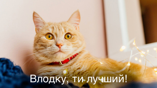 Листівки, які піднімуть настрій: красиві привітання з Днем ангела Володимира - фото 560056