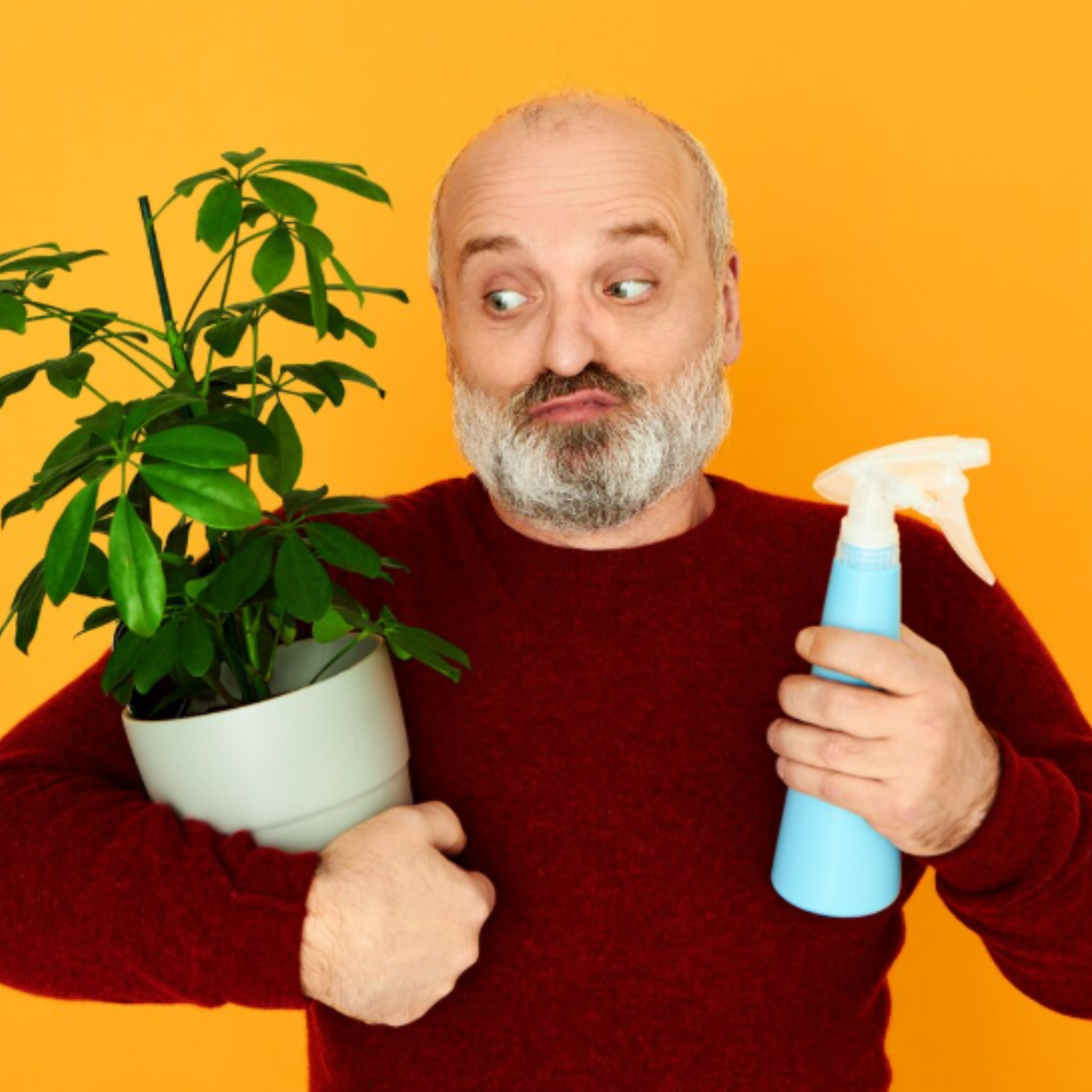 Природний захист городу: 11 рослин, що відлякують шкідників