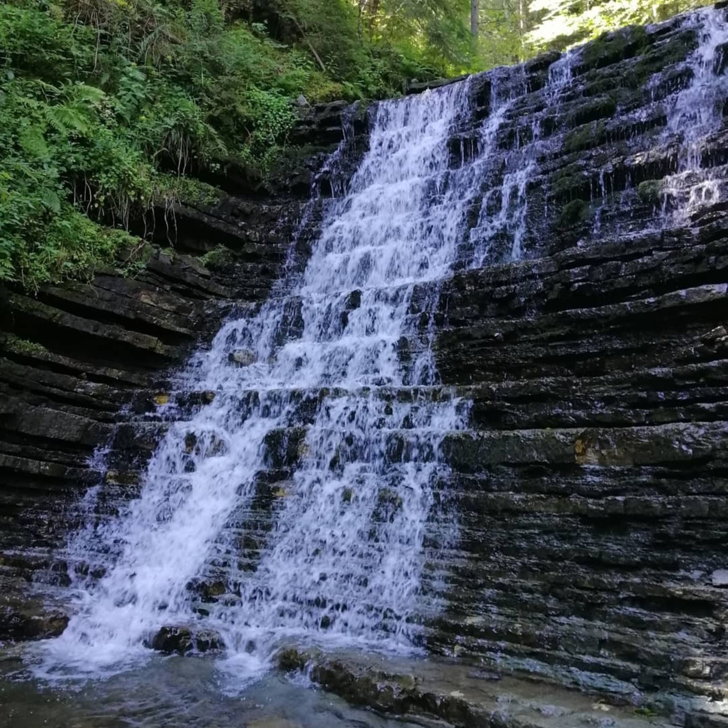 Маловідомий водоспад в Карпатах, який варто відвідати