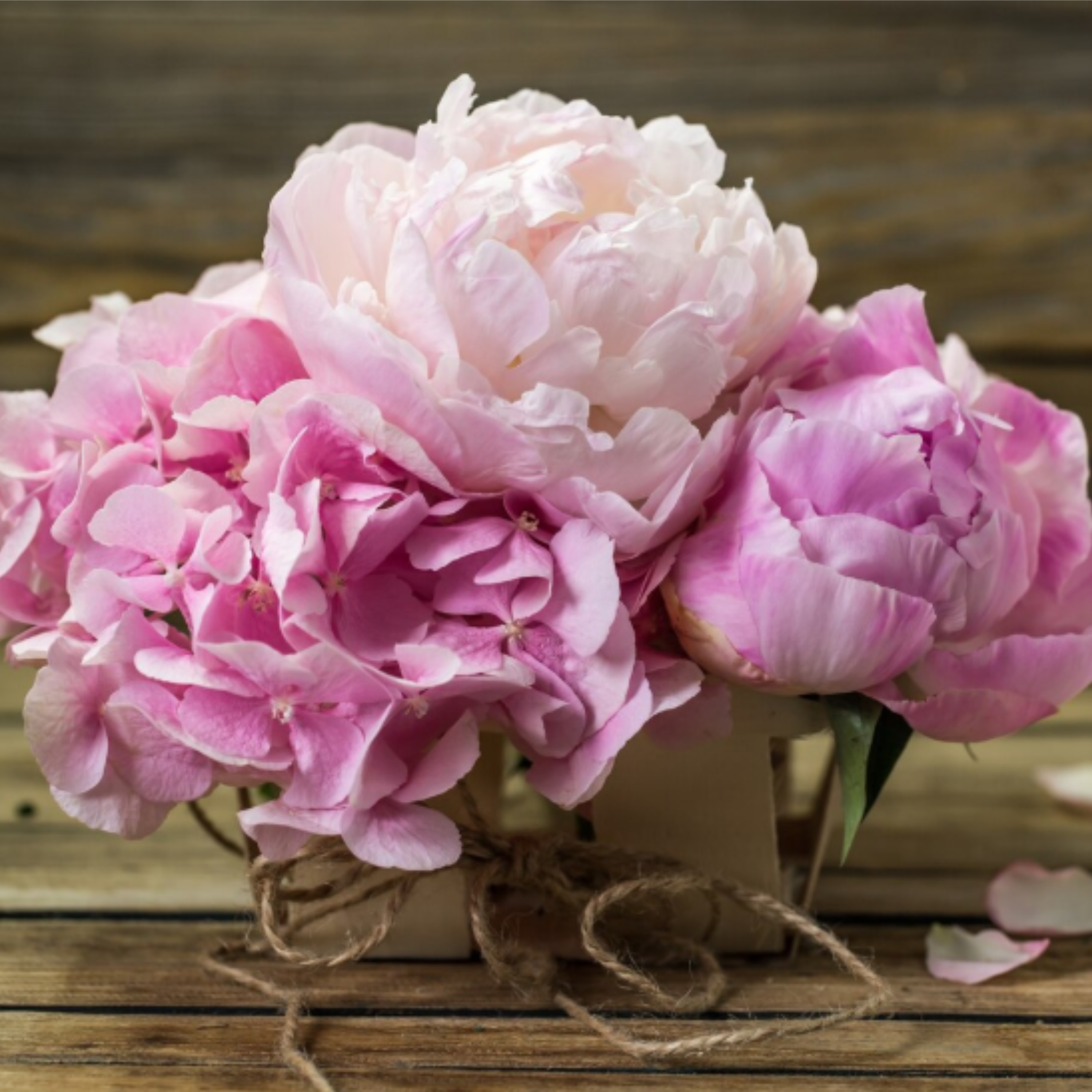 Пристрасна троянда чи холодний нарцис: яка ви квітка душі за місяцем народження