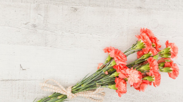 Гвоздика провокує конфлікти - фото 560379