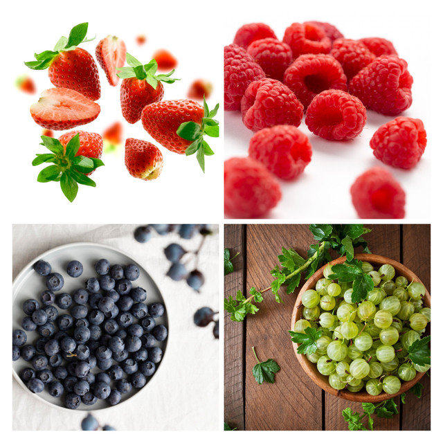 Оберіть ягоду та дізнайтесь, якими вас бачить кохана людина - фото 560444