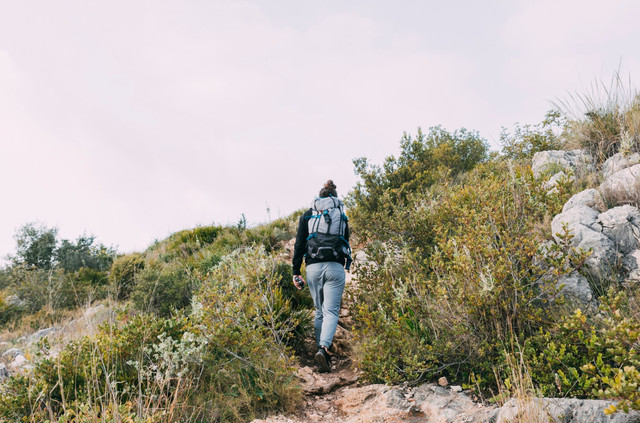 Що ні в якому разі не можна робити, якщо зустріли гадюку: важливі поради - фото 560554