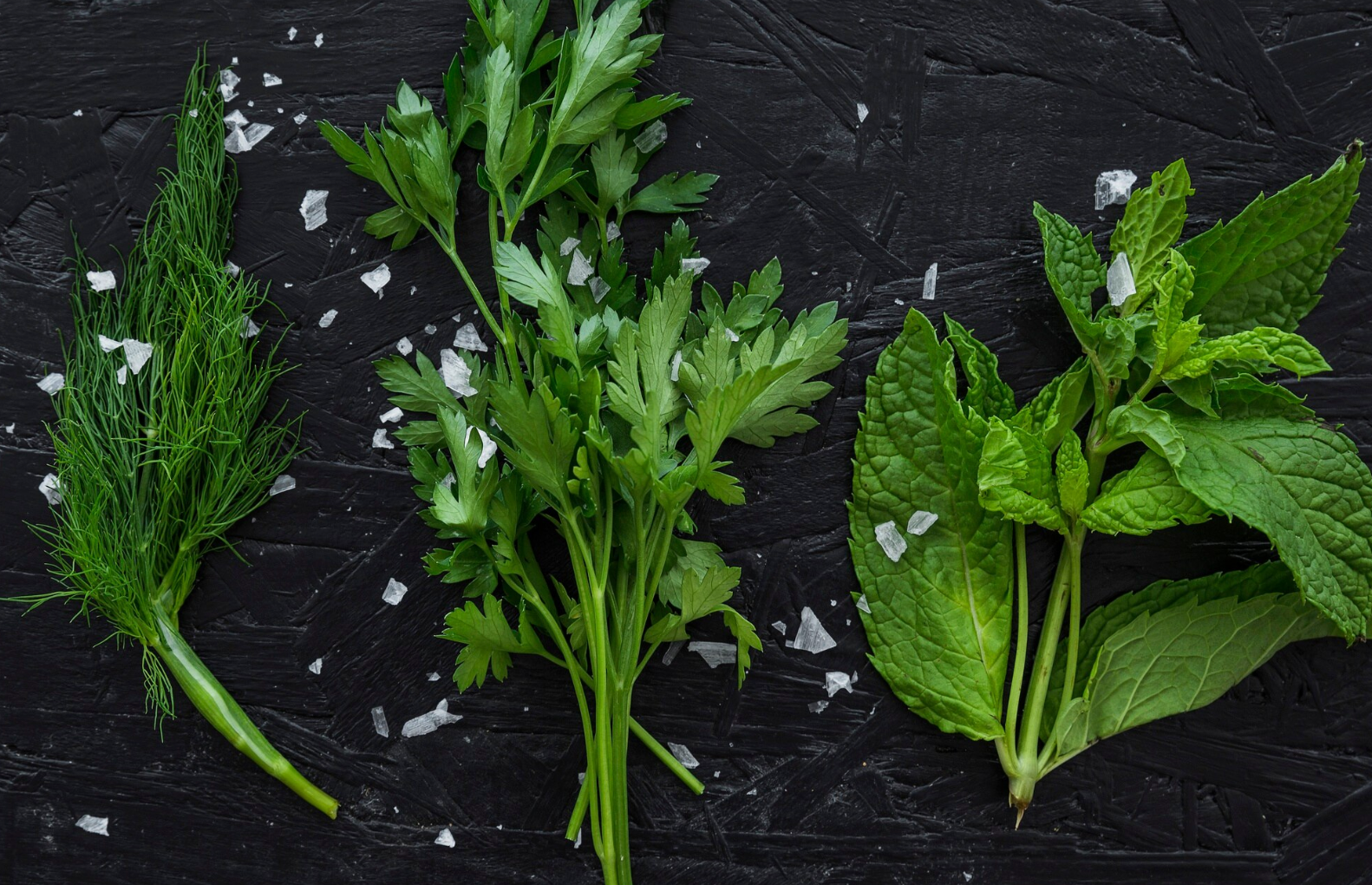 Ви подякуєте собі взимку: як правильно заморозити зелень, щоб бути здоровими цілий рік