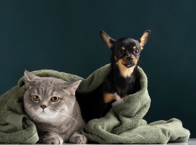 Те, що ви першим побачите на зображенні, розповість про вас як про лідера - фото 561223