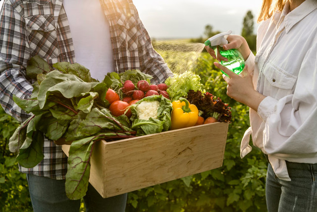 У ці 5 днів категорично не можна йти на город: посівний календар на серпень - фото 561237