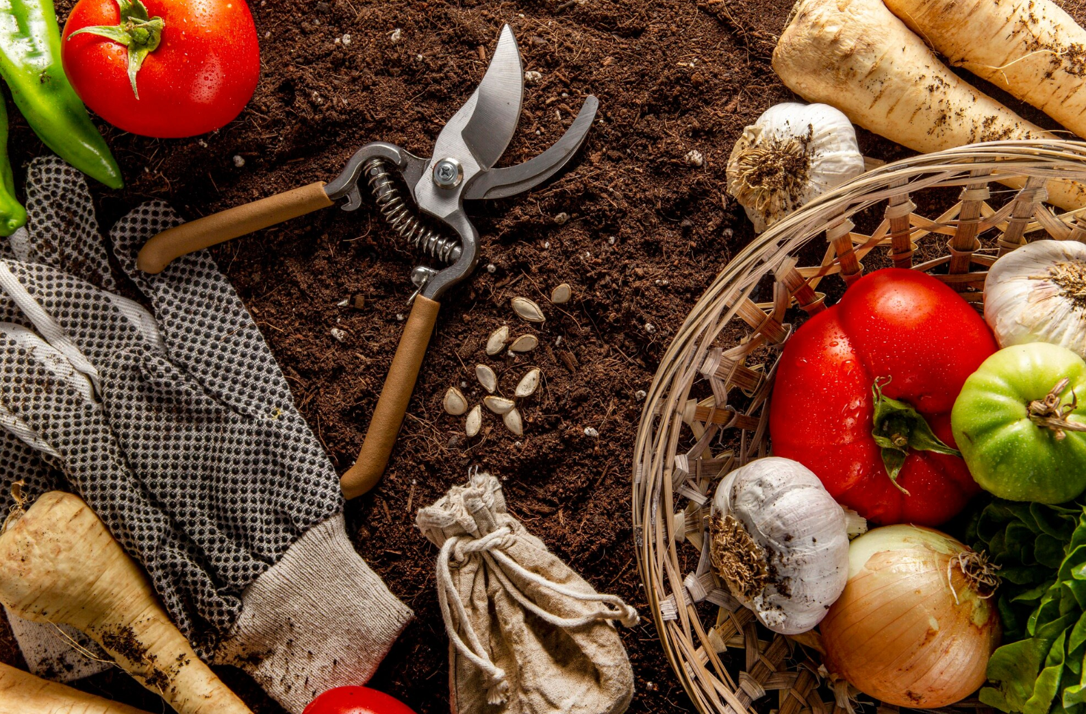 У ці 5 днів категорично не можна йти на город: посівний календар на серпень