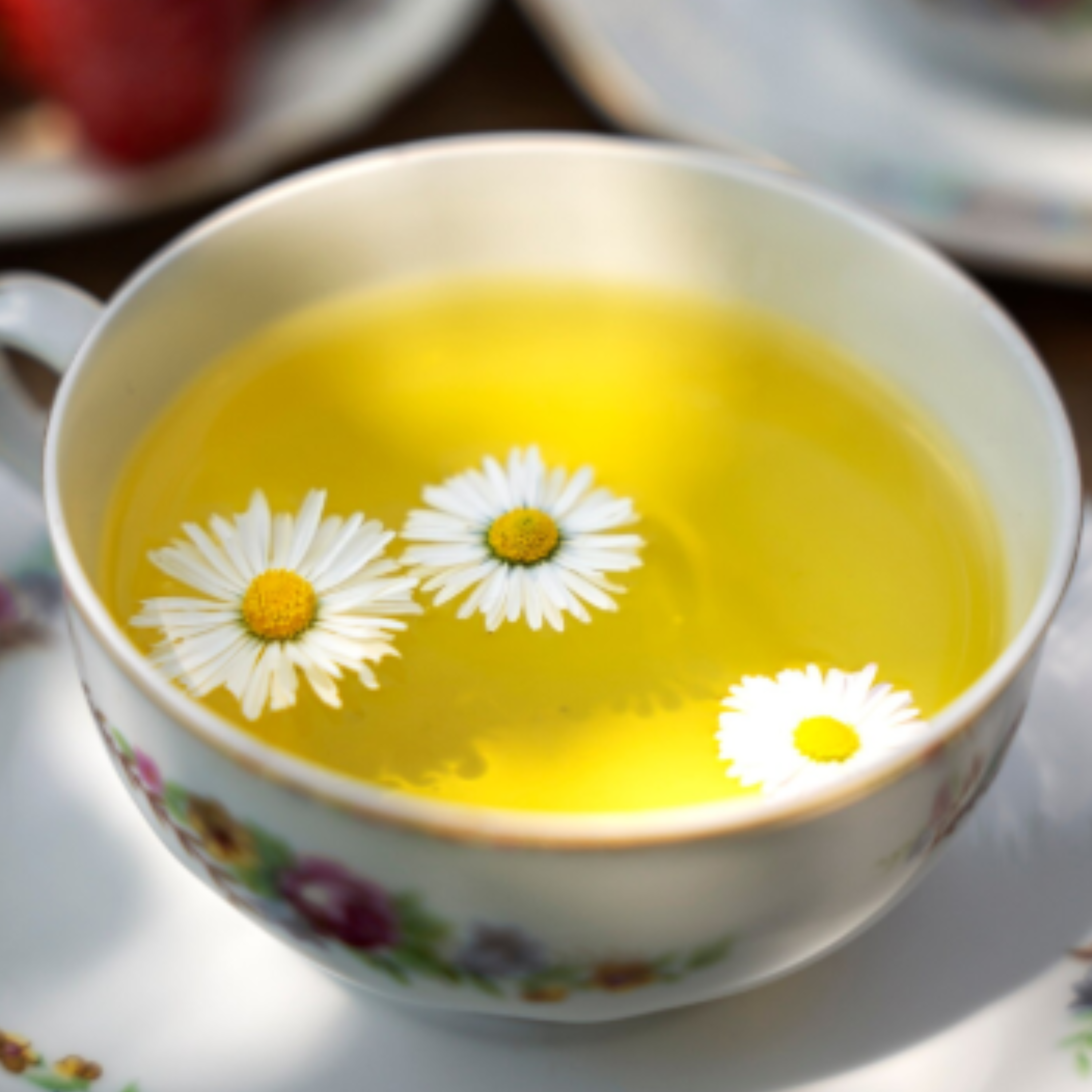 Користь чаю з ромашки - фото 1