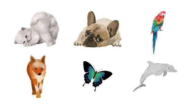 Оберіть тваринку – дізнайтеся більше про себе: цікавий психологічний тест - фото 561485