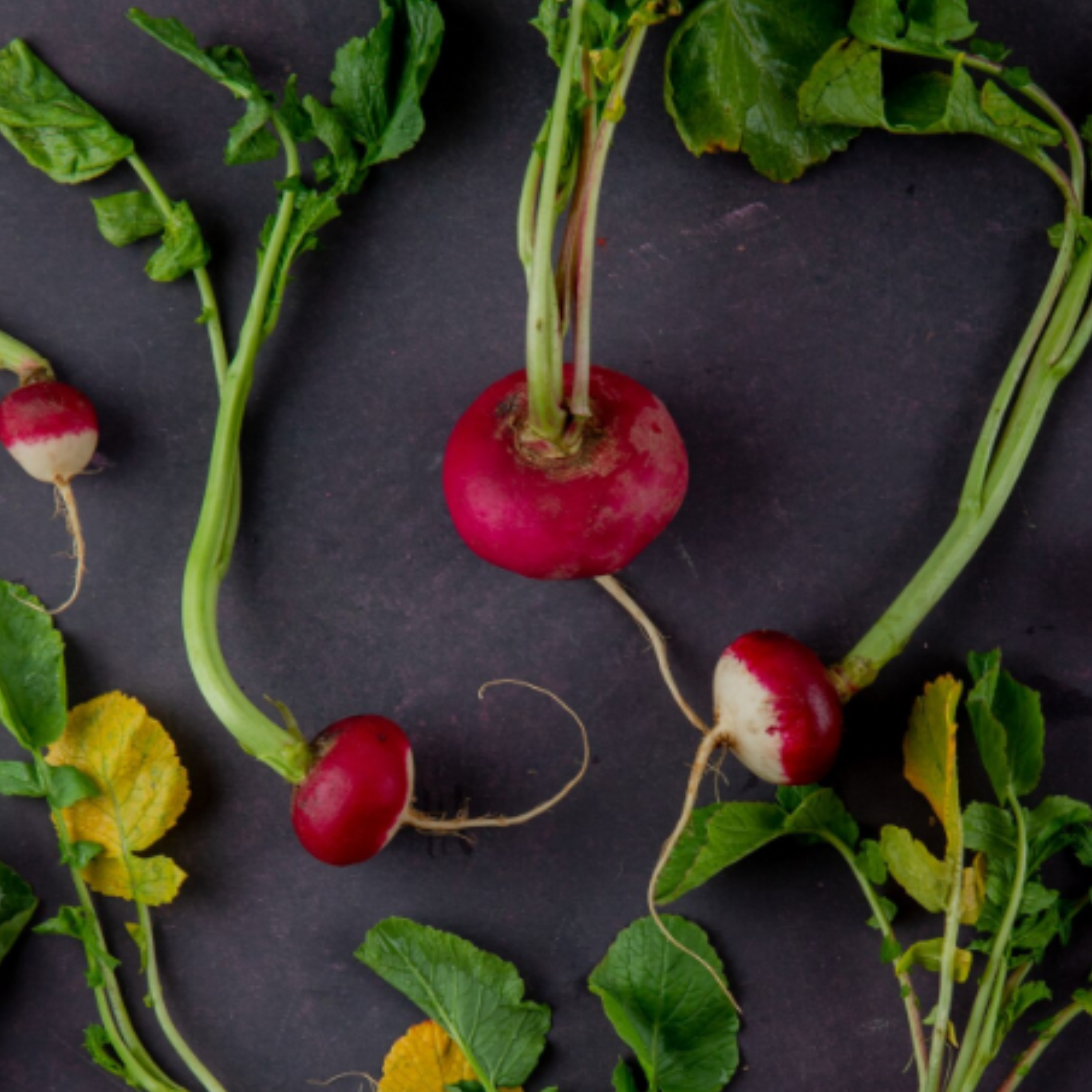 Що посадити у серпні? - фото 1