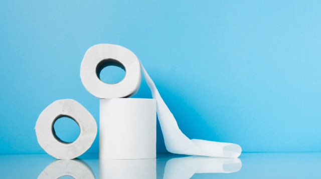 Туалетний папір і зубна паста можуть відлякати комарів - фото 561588