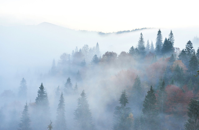 Яке свято відзначають 3 грудня: традиції, заборони і прикмети на цей день - фото 561689