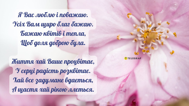 Любій тещі – найкращі побажання: класні і кумедні привітання з Днем народження - фото 561839