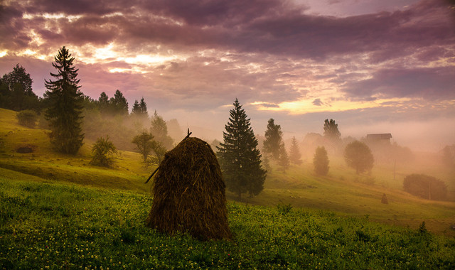 Прикмети на 5 серпня - фото 561854