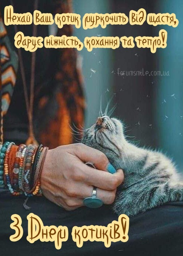 Міжнародний день кота 8 серпня - фото 561889