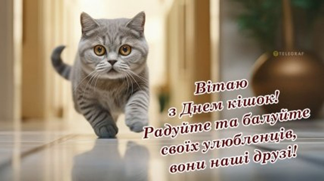 Міжнародний день кота 8 серпня - фото 561898