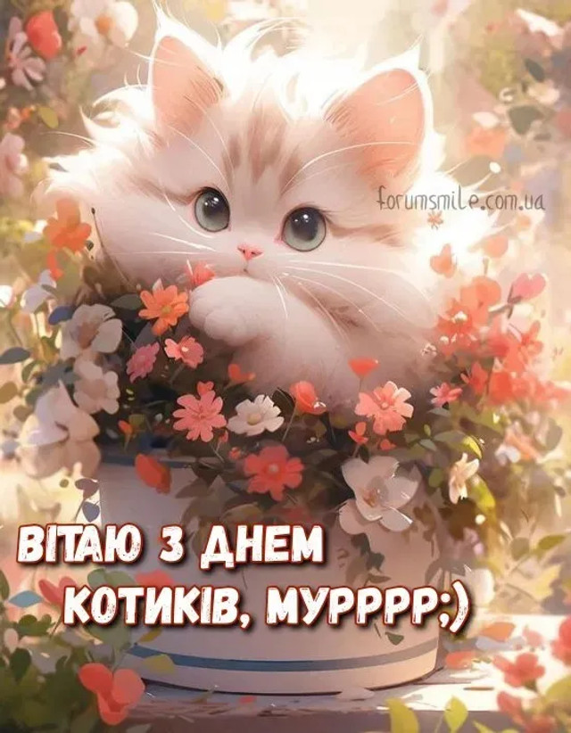 Міжнародний день кота 8 серпня - фото 561899