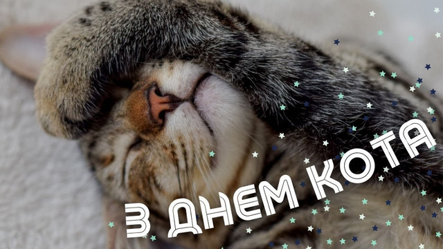 Міжнародний день кота 8 серпня - фото 561901