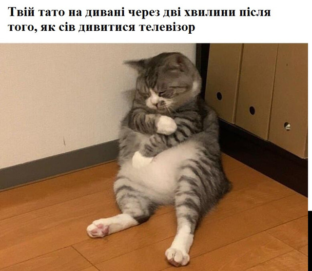 Веселі меми про домашніх улюбленців - фото 561911