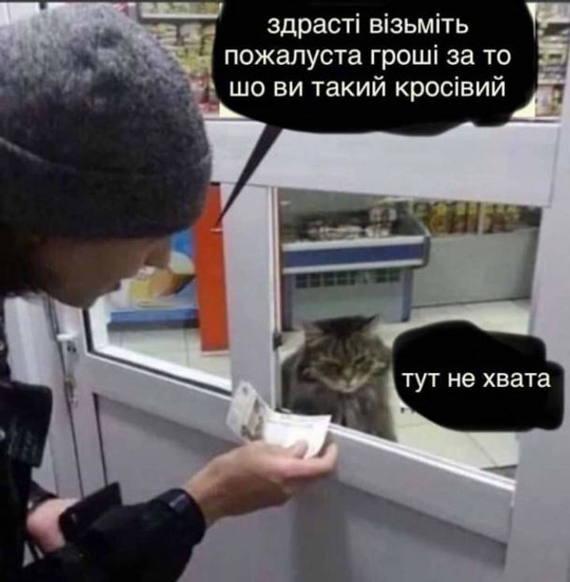 Веселі меми про домашніх улюбленців - фото 561912