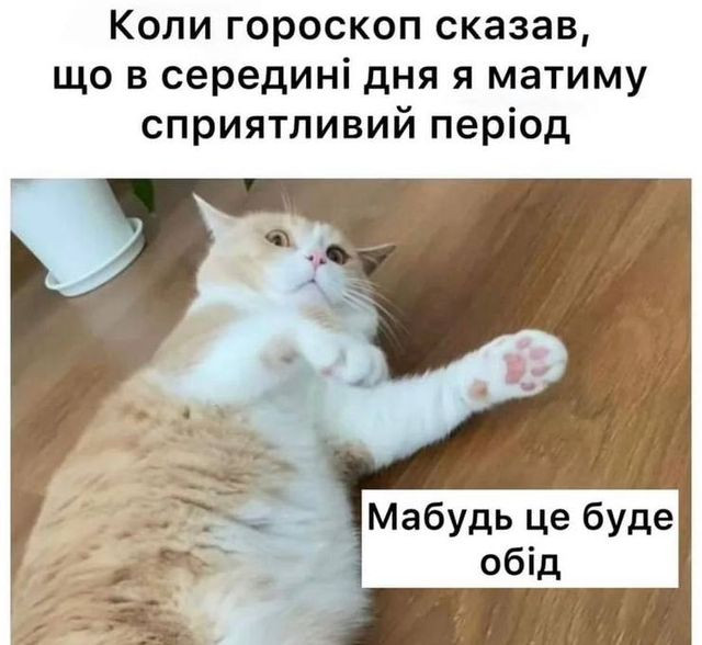 Веселі меми про домашніх улюбленців - фото 561918