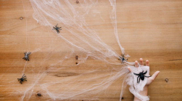 Павуки, як захист - фото 561931