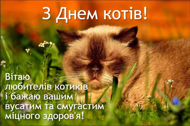 Привітання котиків та їхніх господарів зі святом - фото 562212