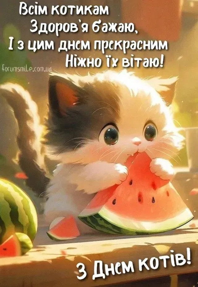 У котиків сьогодні свято - фото 562214